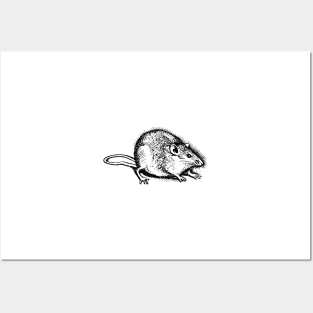 Very Fat Mouse Pencil Posters and Art